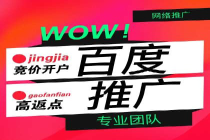 成功托管SEM竞价，实现品牌快速曝光
